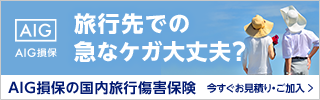 AIG損保海外旅行保健